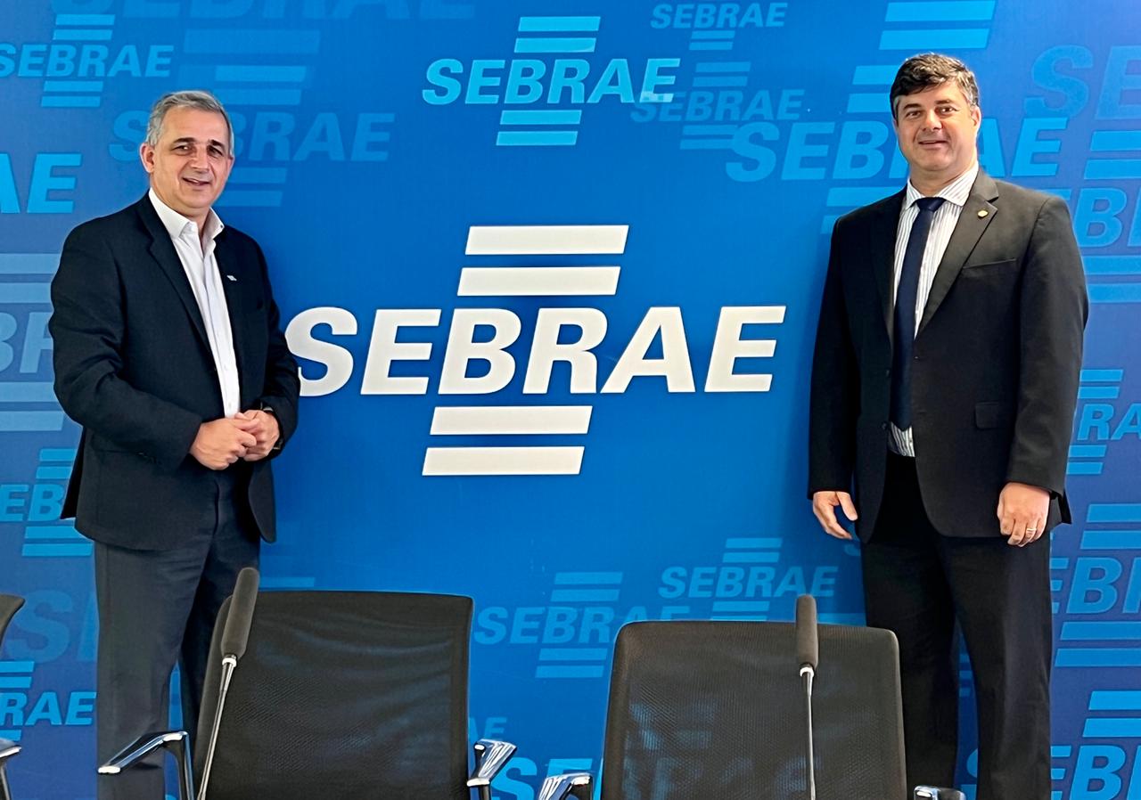 Vice-presidente Institucional em Brasília junto com equipe do SEBRAE-ES
