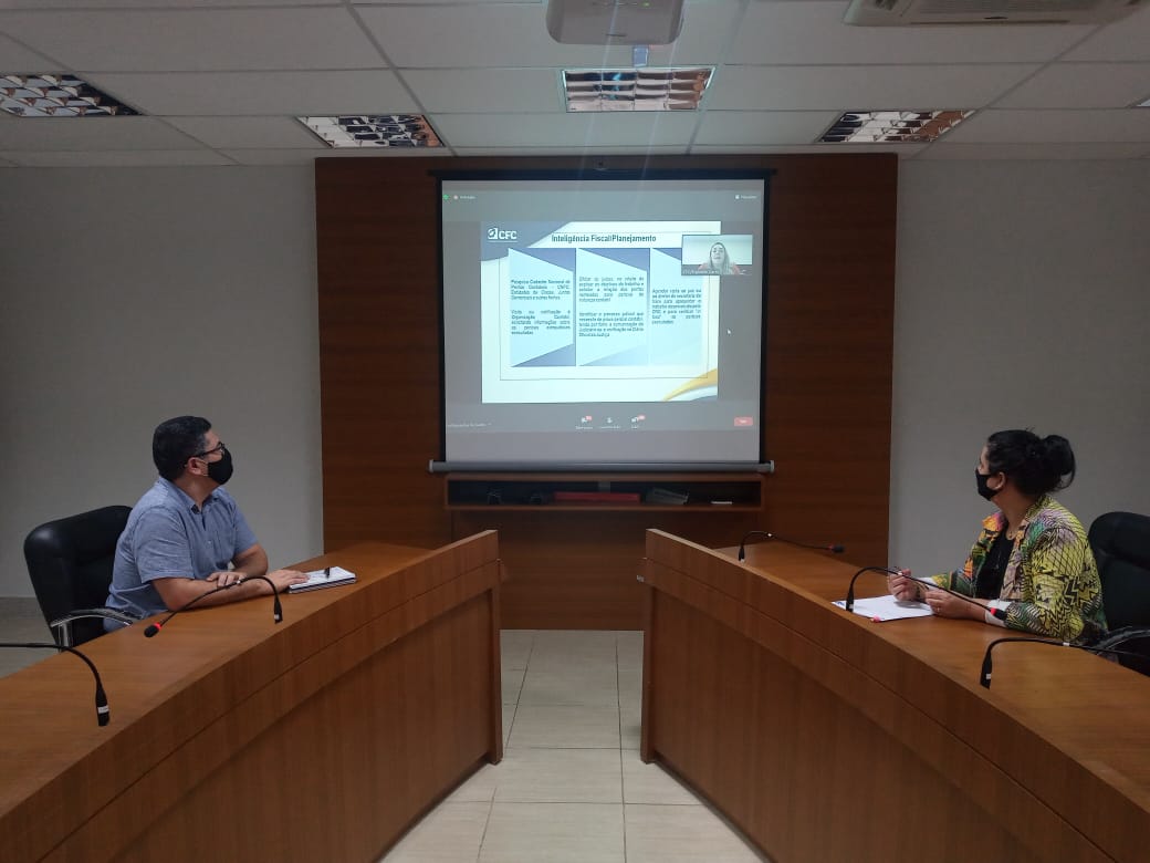 Em seminário virtual, CFC apresenta balanço de trabalhos realizados pela Fiscalização